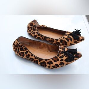 J. Crew factory pointy toe flats